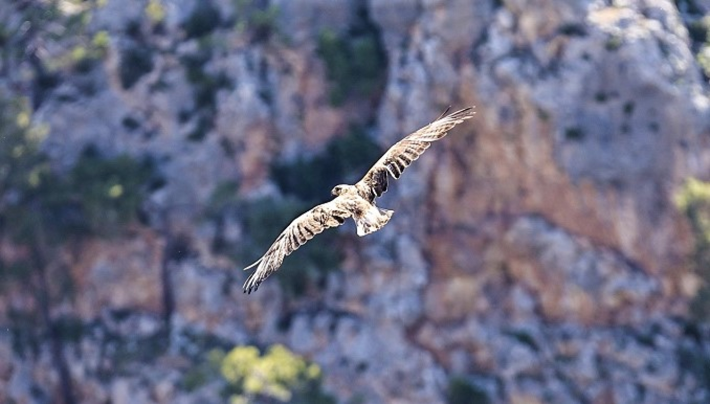 AW710032_08-i6a0ef57dafb91.jpg