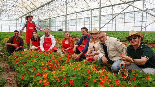 Antalya FoodFest 2026 Akdeniz Yeşillikleri Hasadıyla Başladı