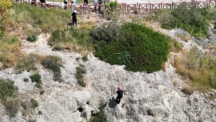 Antalya’da Kedinin Peşinden Koşan Köpek Falezlerden Düştü