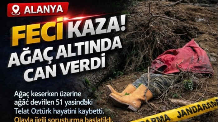 Kesim sırasında üzerine ağaç devrilmesi sonucu hayatını kaybetti