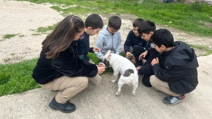 Manavgatlı minikler can dostları için sahada