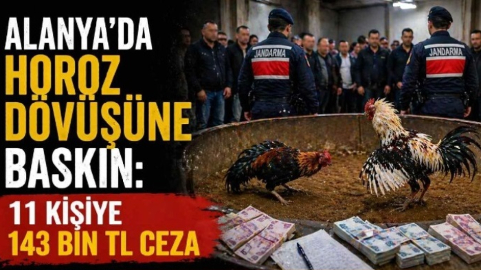 Alanya’da Horoz Dövüşüne Baskın: 11 Kişiye Ceza