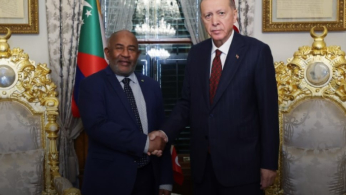 Cumhurbaşkanı Erdoğan, Komorlar Cumhurbaşkanı Azali ile Görüştü